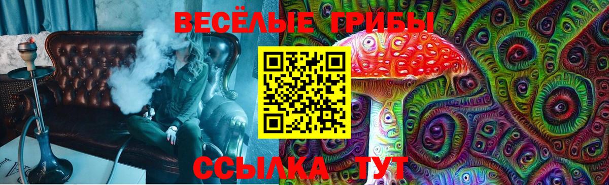 Псилоцибиновые грибы ЛСД Кумертау