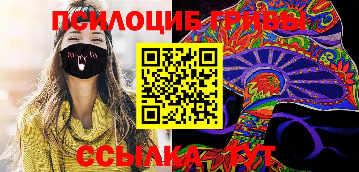 Галлюциногенные грибы Cubensis  Вход с VPN  Кумертау 